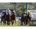  Carrera: P.Eduardo Olgado Caballo: Magic Warrior Monta: J.Gelabert